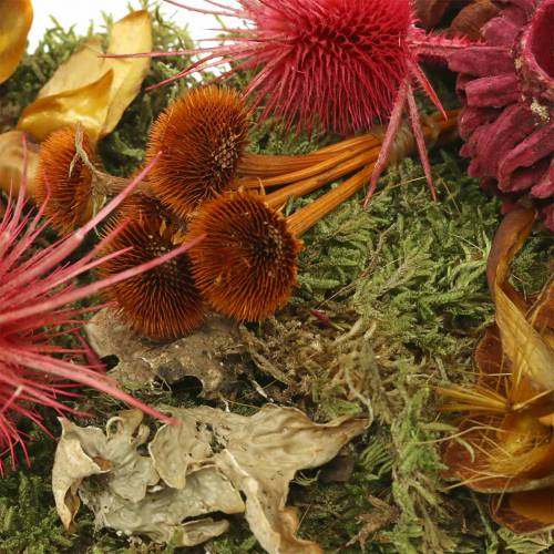 Artikel Torr blomsterblandning med kottar och mossröd 150g höstdekoration