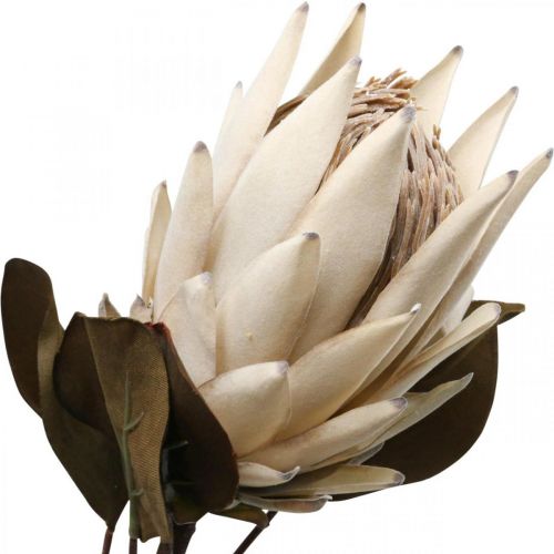 Artikel Protea Artificiellt vissen Drylook Beige Brun Grön 72cm