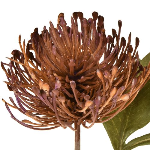 Artikel Protea konstgjord nåldyna Leucospermum lila 30cm 6 st