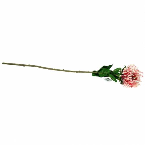 Artikel Protea Artificiell Rosa 73cm
