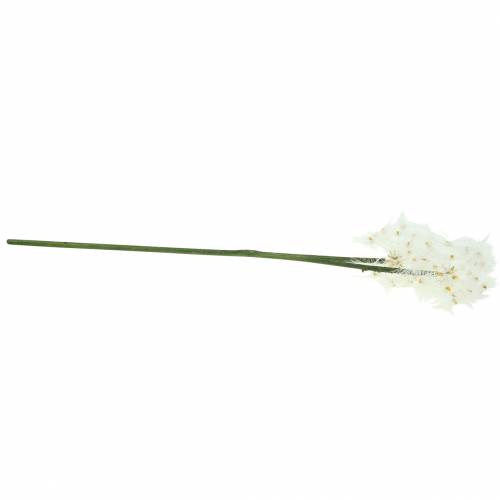 Floristik24 Konstgjord äng blomma jätte blowball vit 57cm