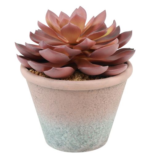 Suckulentväxt i kruka Echeveria konstgjord röd årgång Ø15cm H16cm