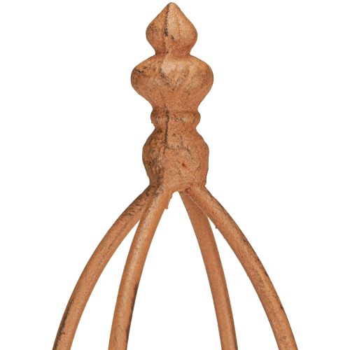 Floristik24 Spaljé Metal Rust Look Obelisk 69/86cm Set om 2