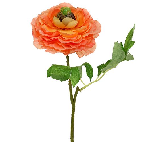 Floristik24 Ranunculus orange 27cm 8st