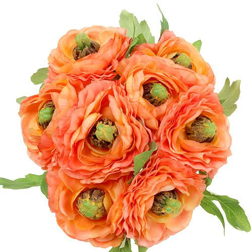 Floristik24 Ranunculus orange 27cm 8st
