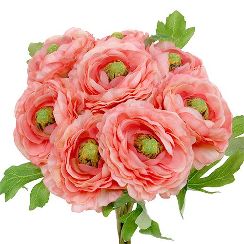 Floristik24 Ranunculus rosa-rosa 27 cm 8st