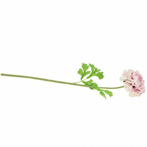 Artikel Ranunculus lila H45cm