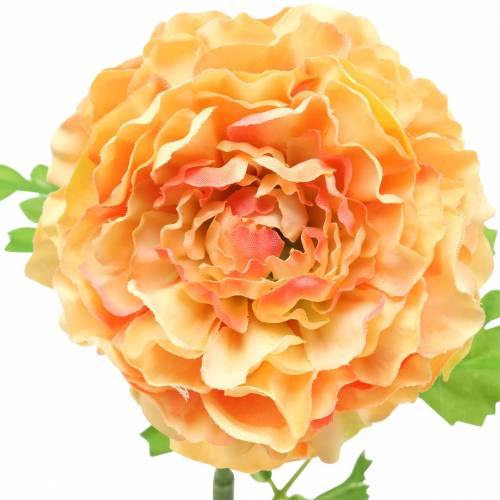 Artikel Ranunculus lax H45cm