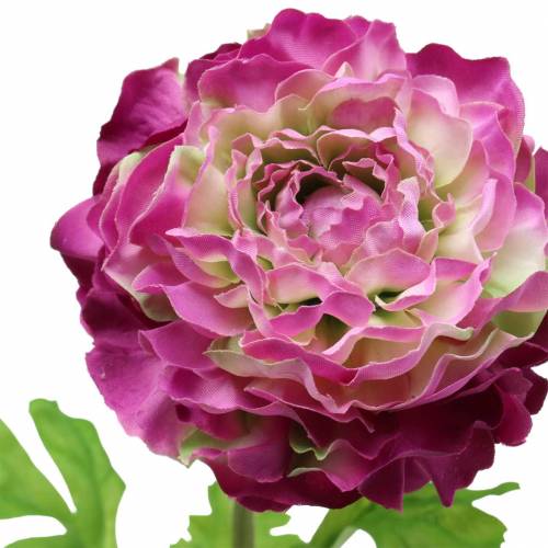 Floristik24 Ranunculus violet artificiell 48cm