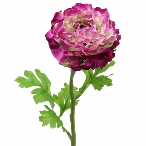Floristik24 Ranunculus violet artificiell 48cm