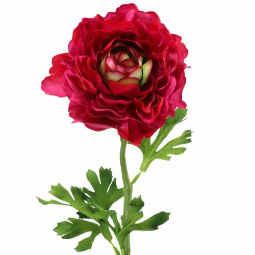 Floristik24 Ranunculus mörkrosa konstgjord 51cm