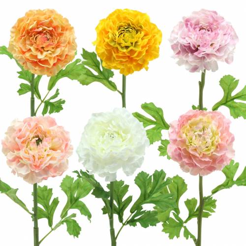Ranunculus olika färger H45cm