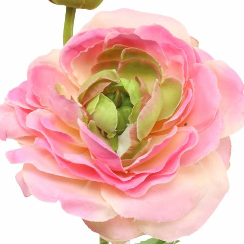 Floristik24 Ranunculus blomma och knopp konstgjord rosa 34cm