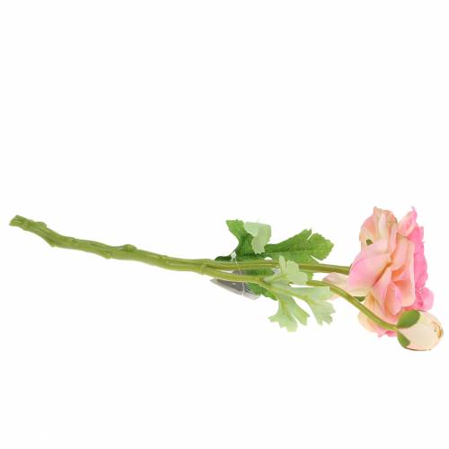 Floristik24 Ranunculus blomma och knopp konstgjord rosa 34cm
