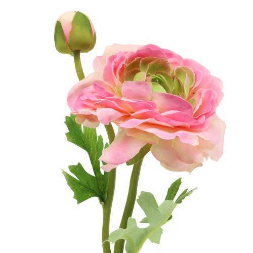 Floristik24 Ranunculus blomma och knopp konstgjord rosa 34cm