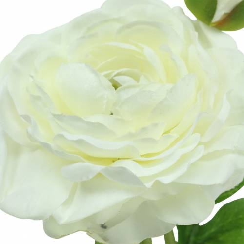 Floristik24 Konstgjord blomma ranunculus med blomma och knopp Vit H34cm