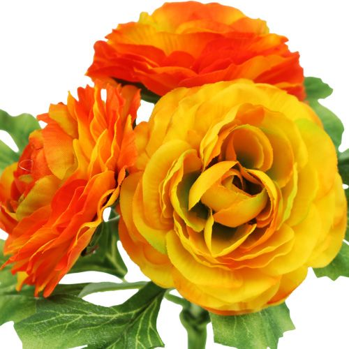 Floristik24 Ranunculus bukett orange L18cm