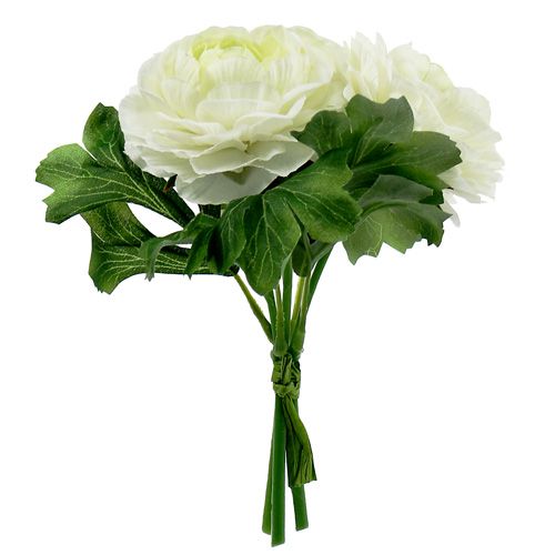 Floristik24 Ranunculus bukett vit L18cm