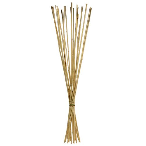 Floristik24 Rottingstjälkar 100cm naturell 20 st