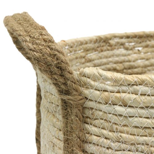 Floristik24 Rottingkorg natur/brun Ø40/32/26cm 3st