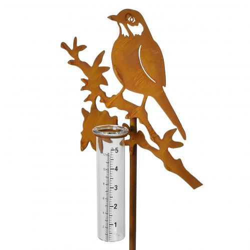 Regnmätare trädgårdsplugg rostfågel 23x7,5x110cm