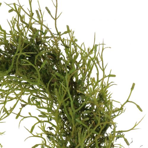 Floristik24 Vårkrans med mossgrön Ø30cm
