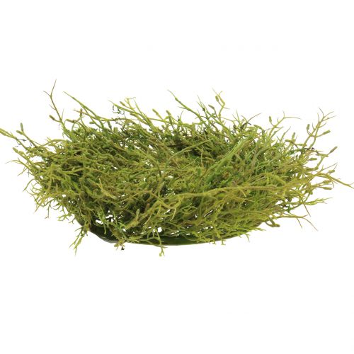 Floristik24 Vårkrans med mossgrön Ø30cm