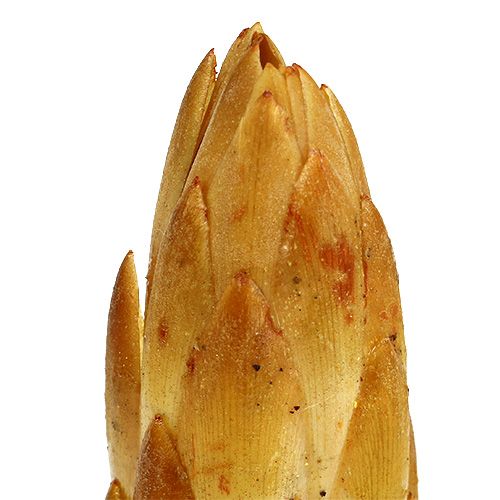 Artikel Repens kräm liten 50 st