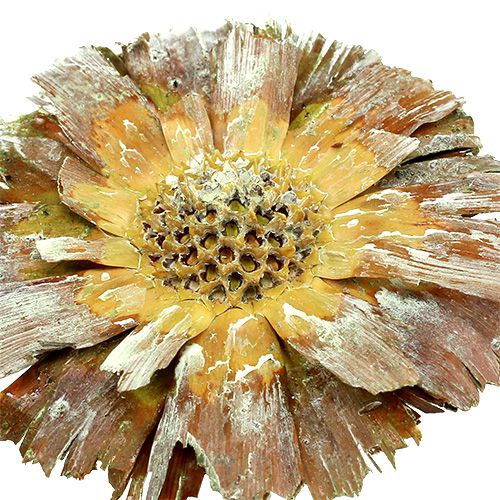 Artikel Repens rosett grön frostad 8cm - 9cm 25 st