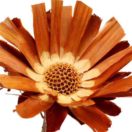 Artikel Repens Rosett Super 10 - 12cm 20 st