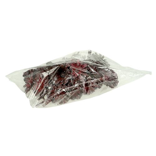 Artikel Protea rosett ljung frostad Ø8-9cm 25 st