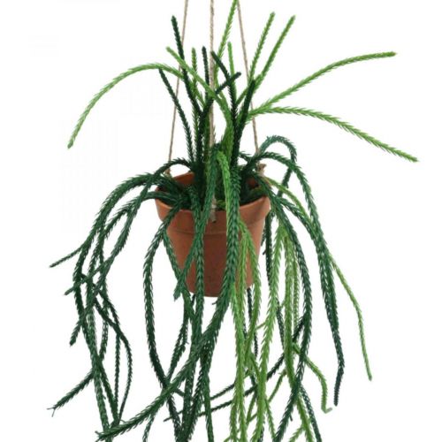 Artikel Rhipsalis konstgjord korallkaktus hängande korg H87cm