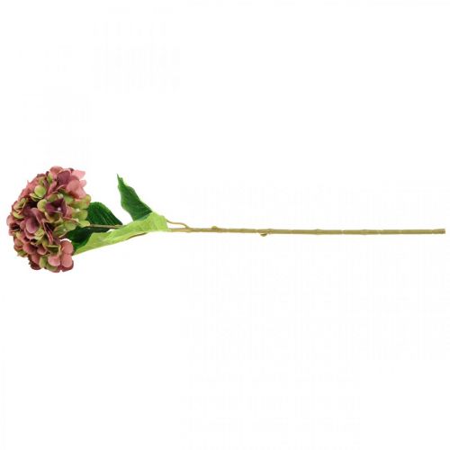 Floristik24 Hortensia konstgjord rosa, bordeaux konstgjord blomma stor 80cm