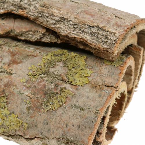 Floristik24 Trädbark för hantverk natur 13cm 1kg