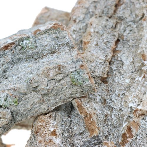 Floristik24 Bark för att tillverka Vit tvättad 13cm 1kg