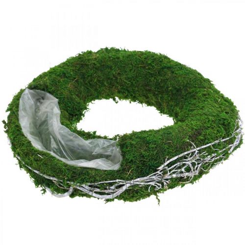 Floristik24 Mosskrans växtring med vinstockar och mossgrön, vit Ø35cm
