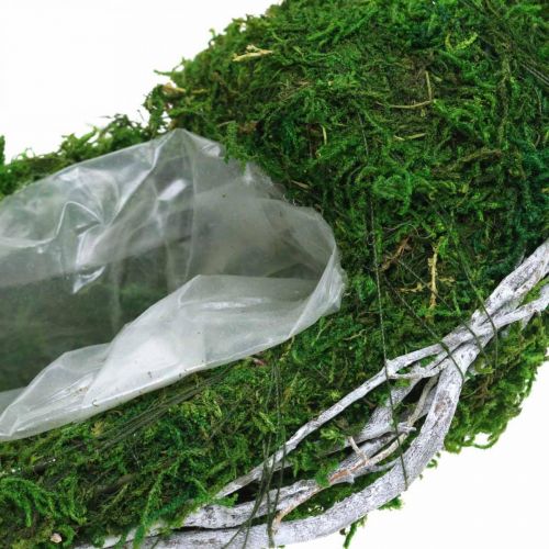 Floristik24 Mosskrans växtring med vinstockar och mossgrön, vit Ø35cm