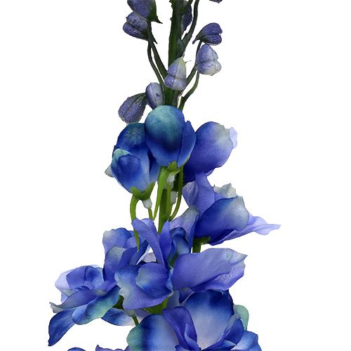 Floristik24 Delphinium Blue 78cm 3st
