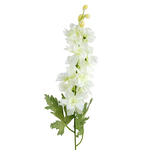 Floristik24 Larkspur vit L60cm