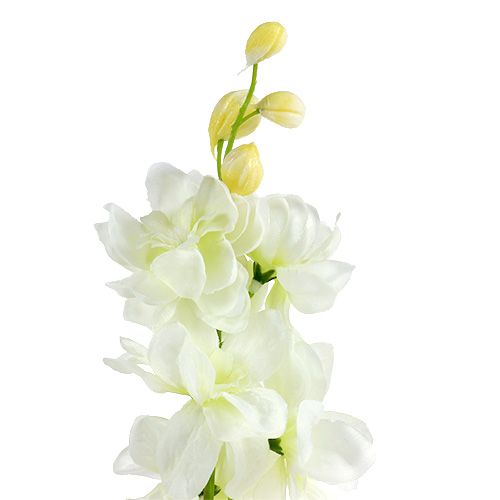 Floristik24 Larkspur vit L60cm