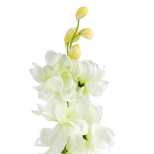 Artikel Larkspur vit L60cm