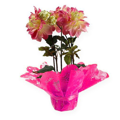 Floristik24 Rondella manschetter Ø58cm rosa 50st