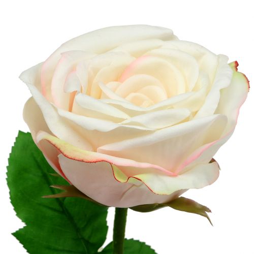 Floristik24 Konstgjord roskräm 69cm