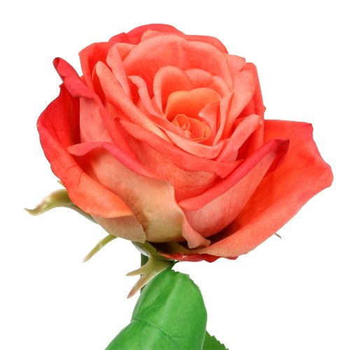 Floristik24 Rose artificiell blomma lax 67,5cm
