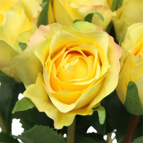 Floristik24 Rosegul 42cm 12st