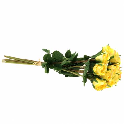 Floristik24 Rosegul 42cm 12st