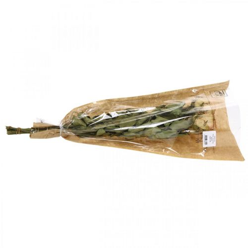 Floristik24 Dekorativa rosor, torkade blommor, torkade rosor, Alla hjärtans dag, begravningsflorister, rustika rosor gulrosa L48cm 5 st.