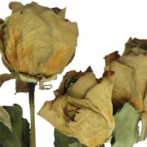 Artikel Torkad blomros, alla hjärtans dag, torkad blommor, rustika dekorativa rosor gulviolett L45-50cm 5st