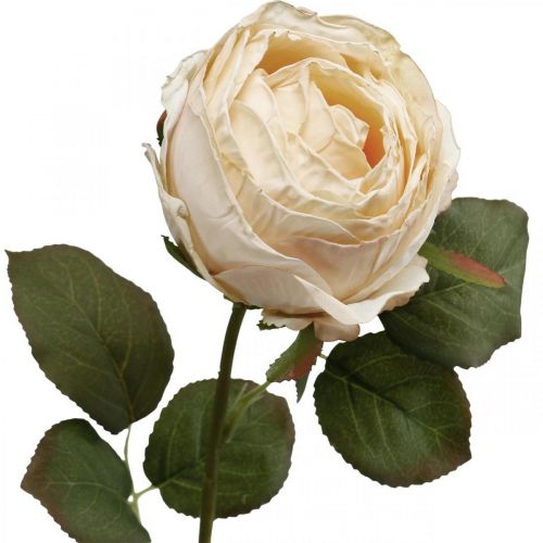Artikel Rose krämfärg, sidenblomma, konstgjord ros L74cm Ø7cm