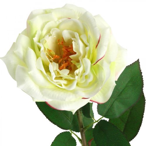 Konstgjord ros, dekorativ ros, sidenblomma krämvit, grön L72cm Ø12cm